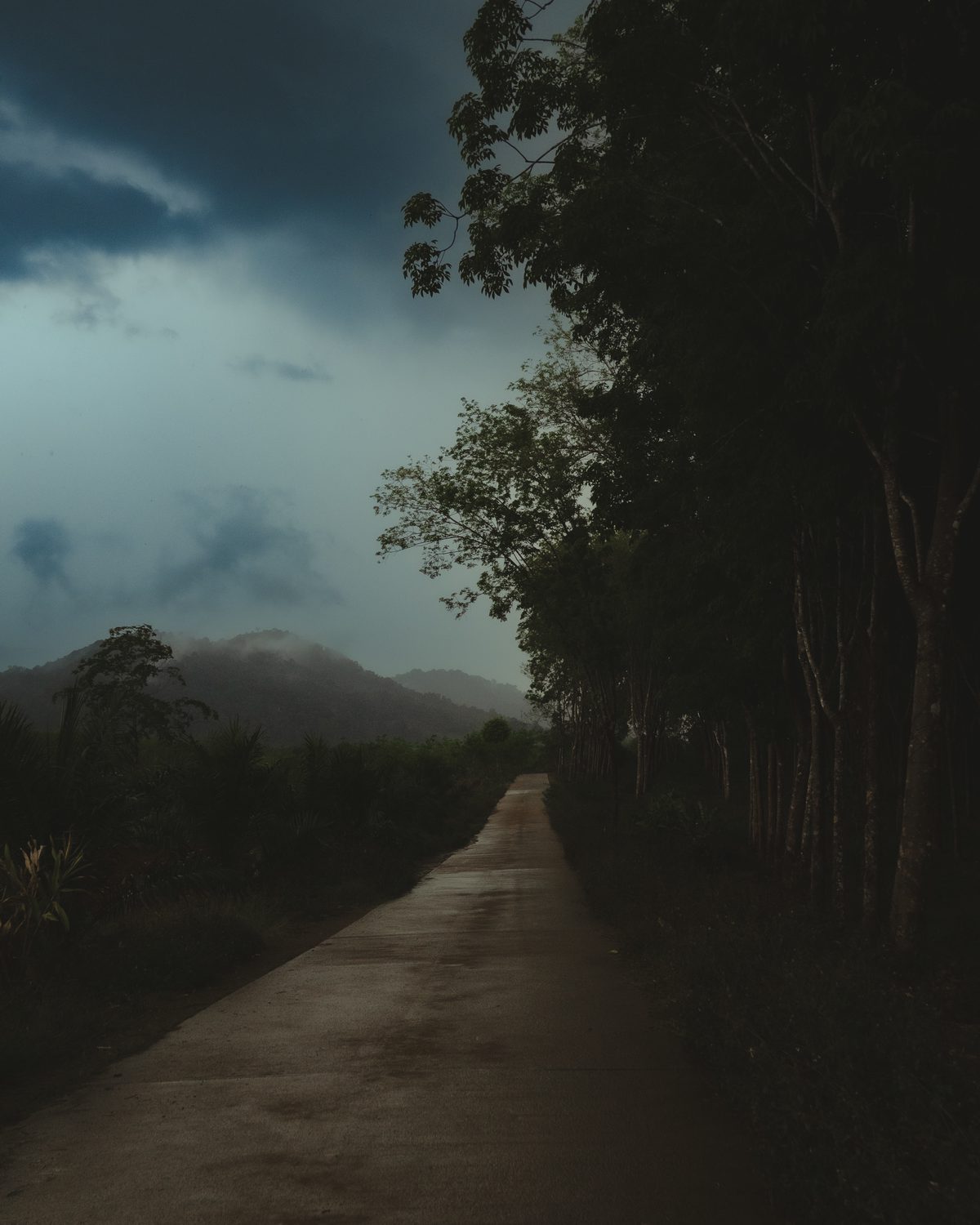 Somewhere in Thailand